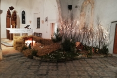 48962148_2283364758553491_8922900780571164672_o