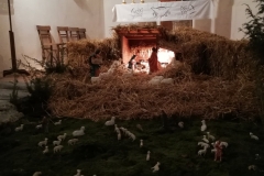 49175082_2283364775220156_7011878919284457472_o